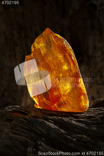 Image of Beauty of natural raw amber. A piece of yellow opaque natural amber on large piece of dark stoned wood.