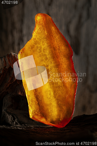 Image of Beauty of natural raw amber. A piece of yellow opaque natural amber on large piece of dark stoned wood.