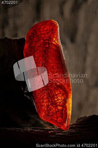 Image of Beauty of natural raw amber. A piece of yellow and red semi transparent natural amber on piece of stoned wood.
