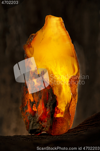 Image of Beauty of natural raw amber. A piece of yellow opaque natural amber on large piece of dark stoned wood.