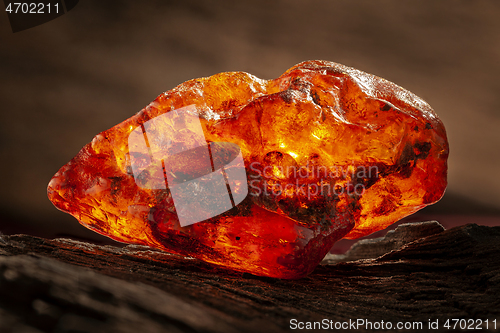 Image of Beauty of natural raw amber. A piece of yellow-red transparent natural amber on piece of stoned wood