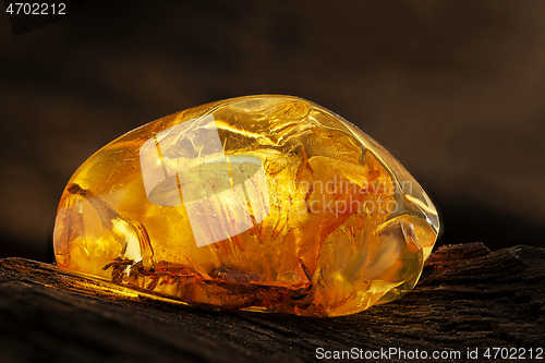 Image of Beauty of natural raw amber. A piece of yellow transparent natural amber on piece of stoned wood