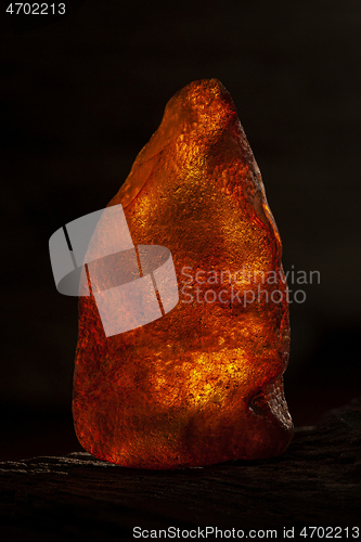 Image of Beauty of natural raw amber. A piece of yellow-red transparent natural amber on piece of stoned wood