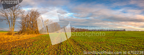 Image of Autumn sown field at amazing sunrise. Czech Republic