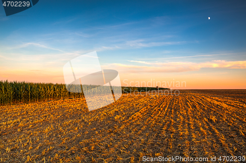 Image of Lookout tower between corn field and empty field after harvestin