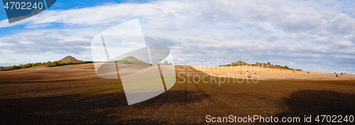 Image of Bales of straw on a farm field

