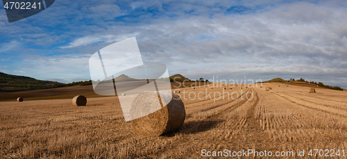 Image of Bales of straw on a farm field

