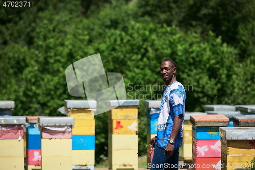 Image of african beekeeper local black honey producer