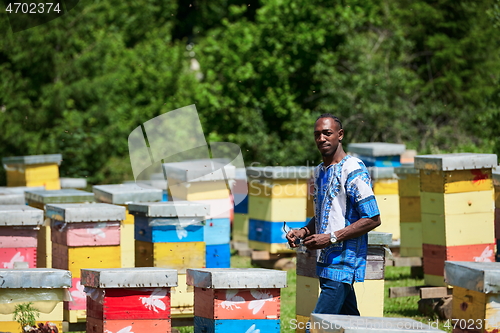 Image of african beekeeper local black honey producer