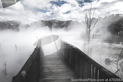 Image of Bridge on a misty lake in Rotorua, New Zealand