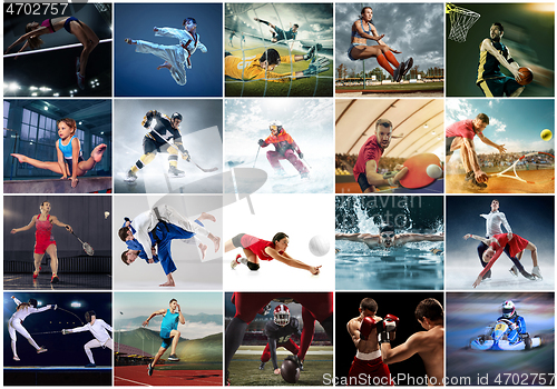 Image of Collage about different kind of sports