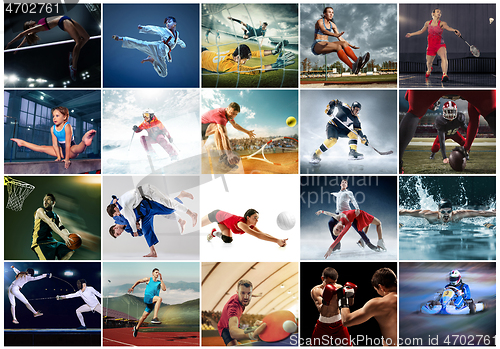 Image of Collage about different kind of sports