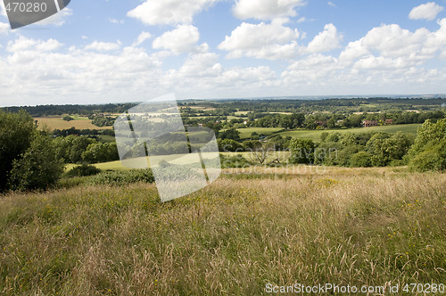 Image of Rrural scene