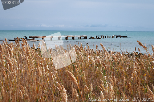 Image of Autumn coast of the Caspian Sea.