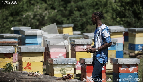 Image of african beekeeper local black honey producer