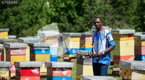 Image of african beekeeper local black honey producer