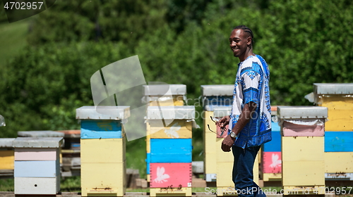 Image of african beekeeper local black honey producer