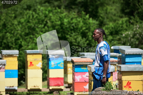 Image of african beekeeper local black honey producer