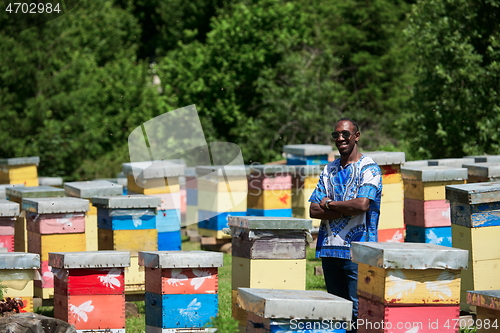 Image of african beekeeper local black honey producer
