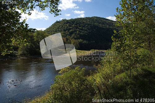 Image of Bucolic Stream Scene