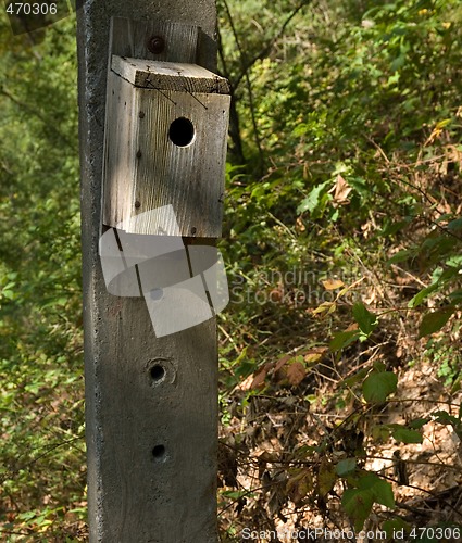 Image of Woodland Bird House