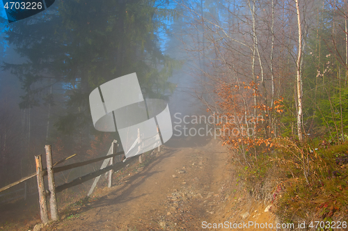 Image of Countryside road trough misty forest