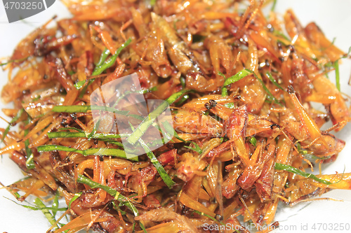 Image of Roasted grasshopper