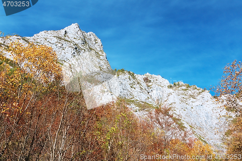 Image of beautiful limestone ridge at Scarita Belioara