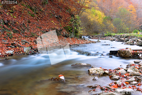 Image of beautiful mountain river in Apuseni