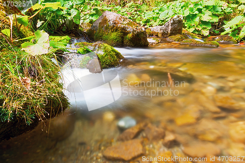 Image of detail of mountain stream in Apuseni