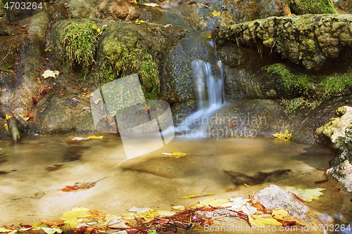 Image of detail of mountain stream in Beusnita National Park