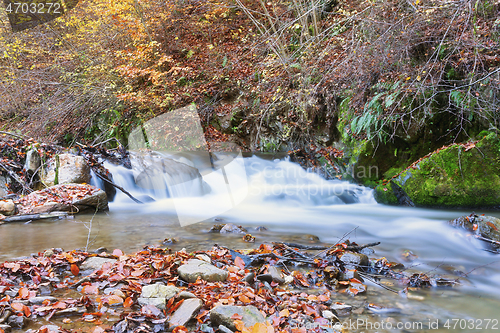 Image of waterfall on mountain stream in Apuseni mountains