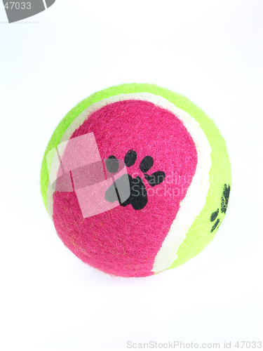 Image of Dog Ball