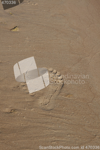 Image of Wet sand texture