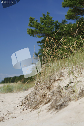 Image of beach view