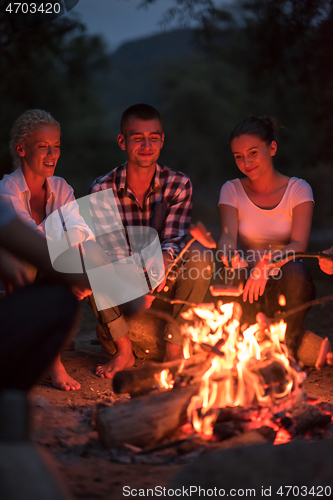 Image of young friends relaxing around campfire