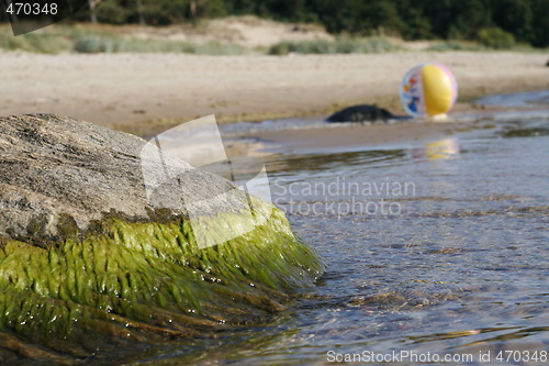 Image of Stone on the beach