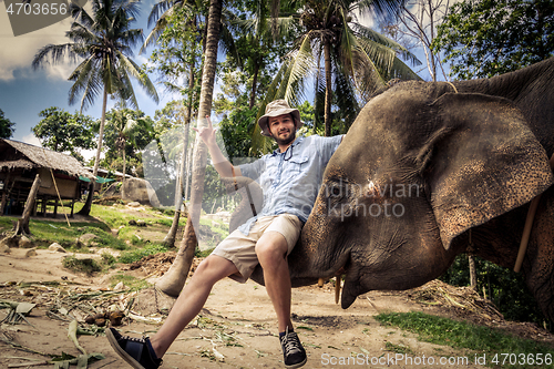 Image of Domesticated elephant lifting a tourist with his trunk