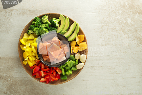 Image of Salmon fish