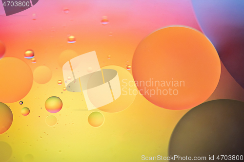 Image of Rainbow abstract defocused background picture made with oil, water and soap