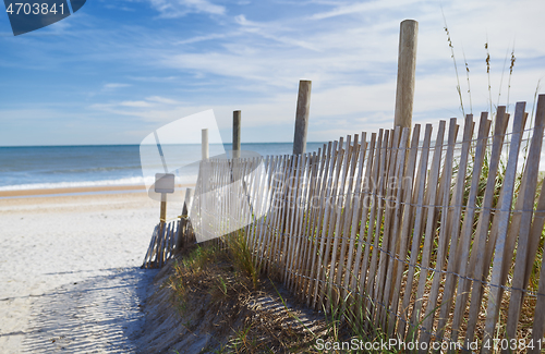 Image of Dune Fence on the Beach