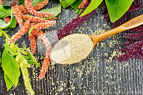 Image of Amaranth groats in spoon on board top