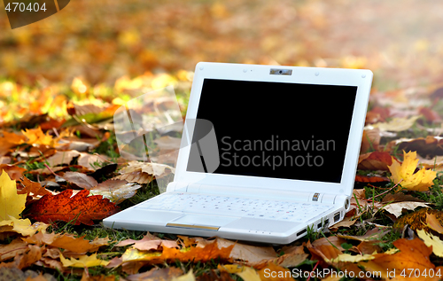 Image of Laptop in an automn scene