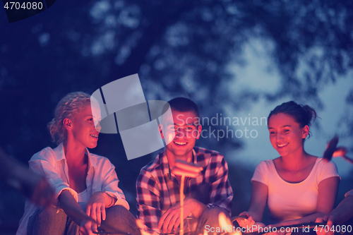 Image of young friends relaxing around campfire