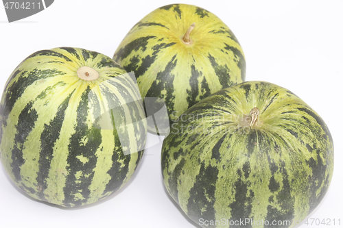 Image of melon on a white background