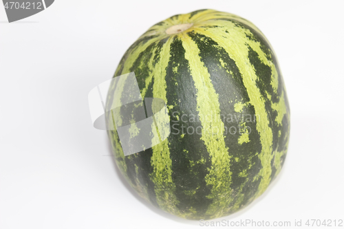 Image of melon on a white background