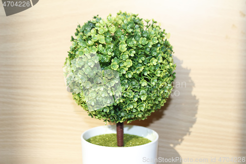 Image of Plastic tree on table