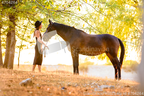 Image of Beautiful girl stands with a horse in the forest at sunset with beautiful backlighting
