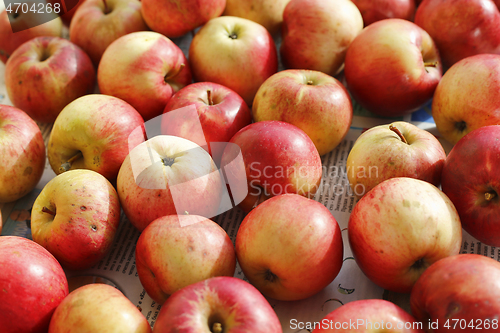 Image of Ripe red and yellow apples