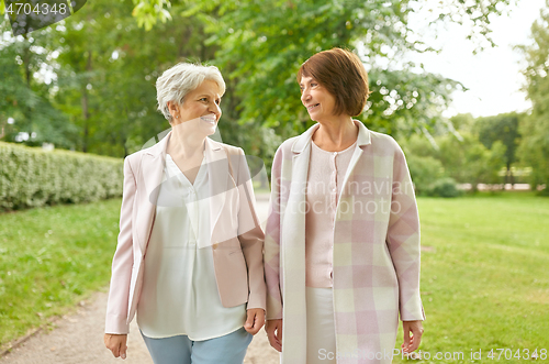 Image of senior women or friends walking along summer park